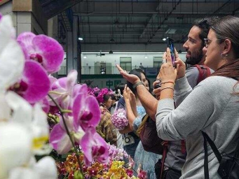 云南昆明：斗南花市鲜花俏销